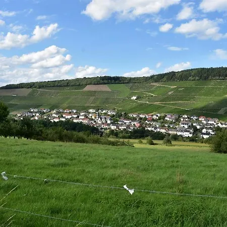 Zum Geisberg Apartment *